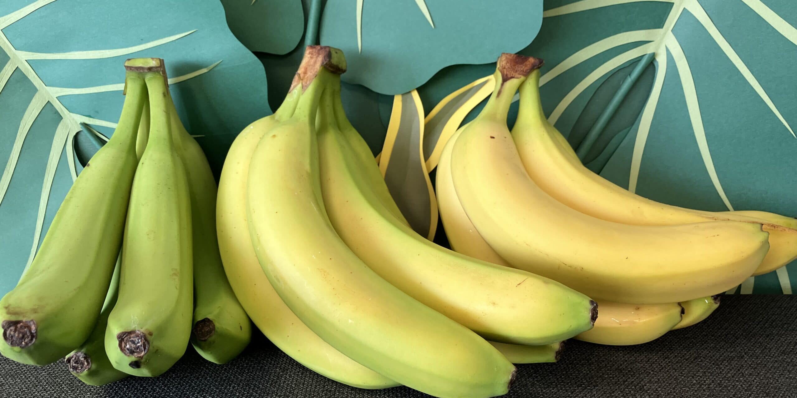 IMG_1452 Journée Internationale de la sécurité sanitaire des aliments