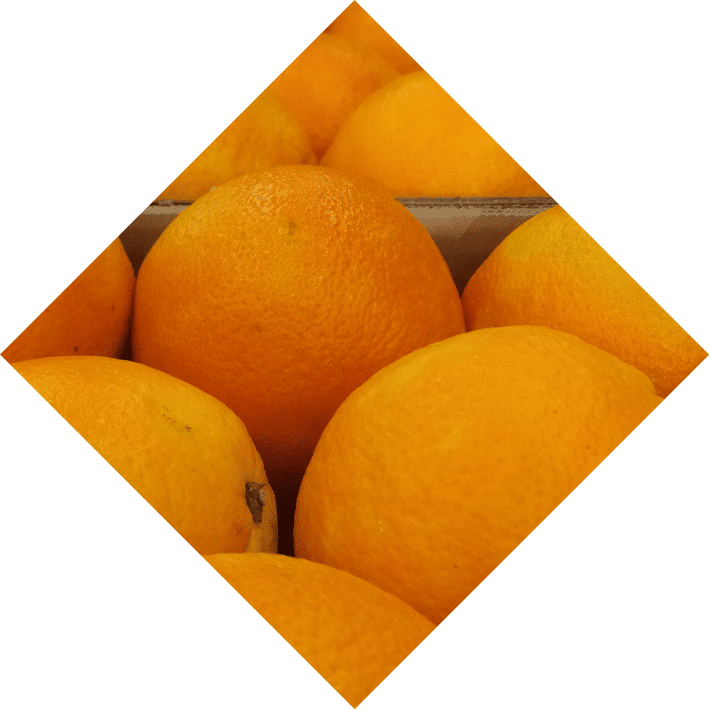 orange-soly-savoir-faire