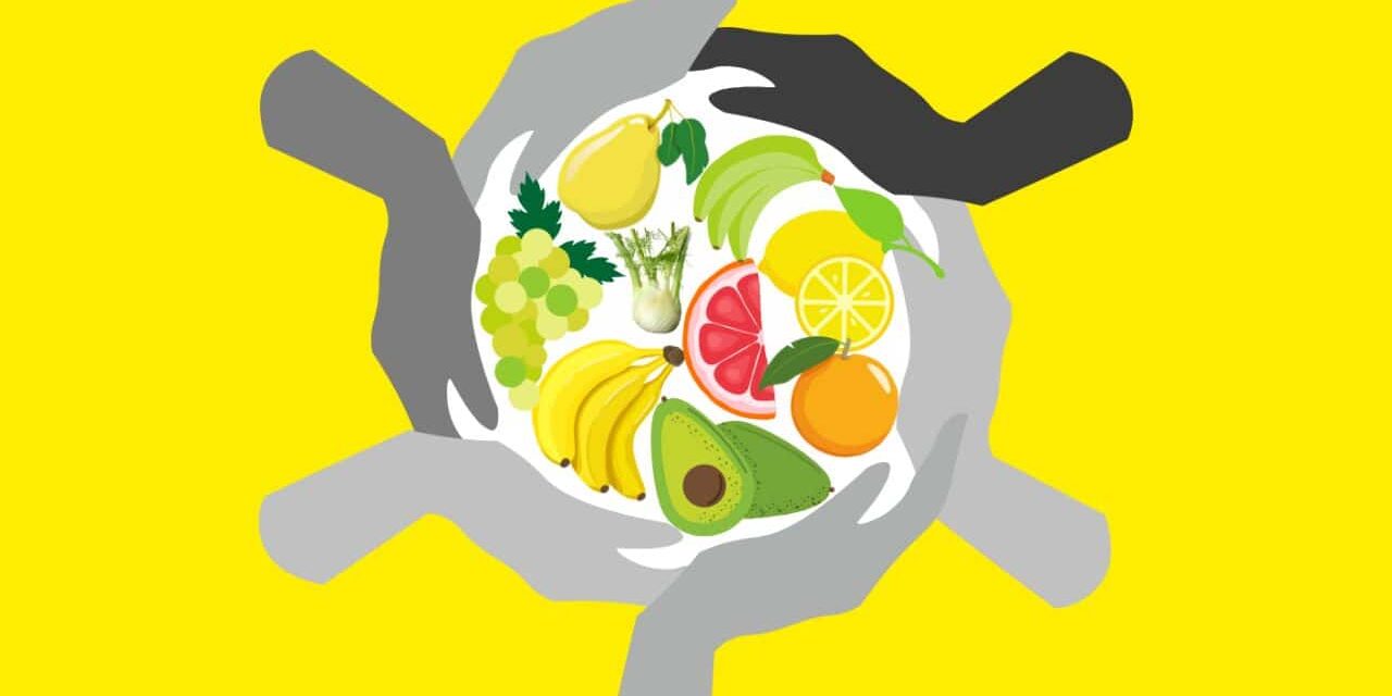 1689659322086 équipes soly import