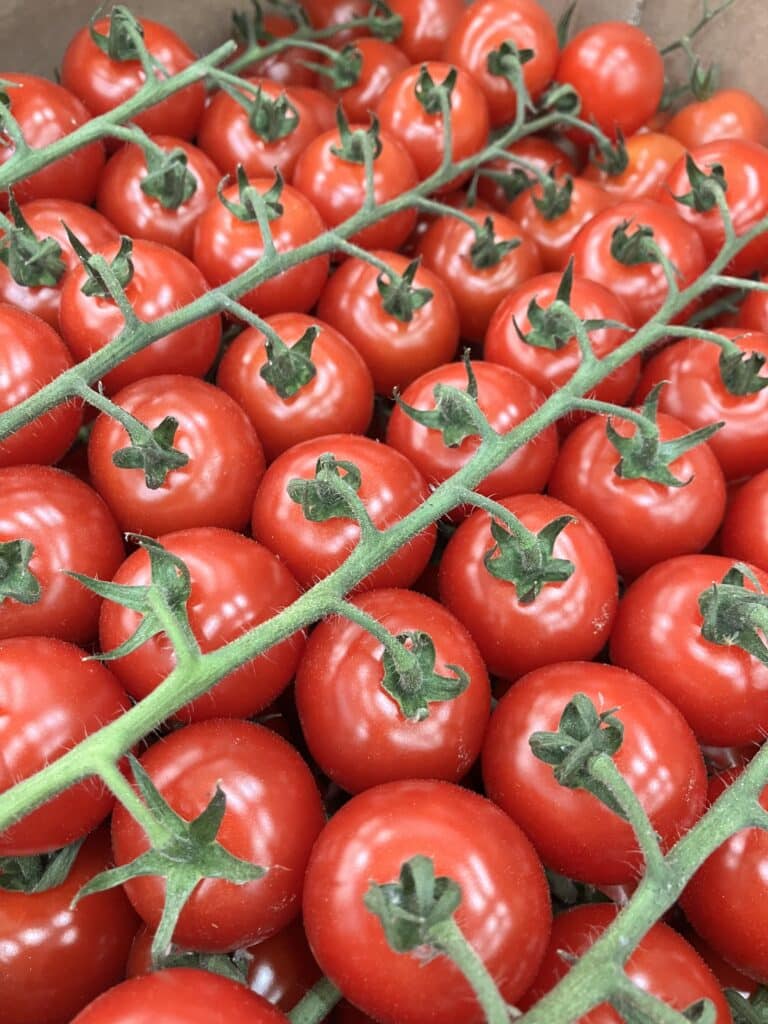 Aujourd’hui dans « C’est de Saison », les tomates grappes font leur show ! A chaque moment sa tomate !