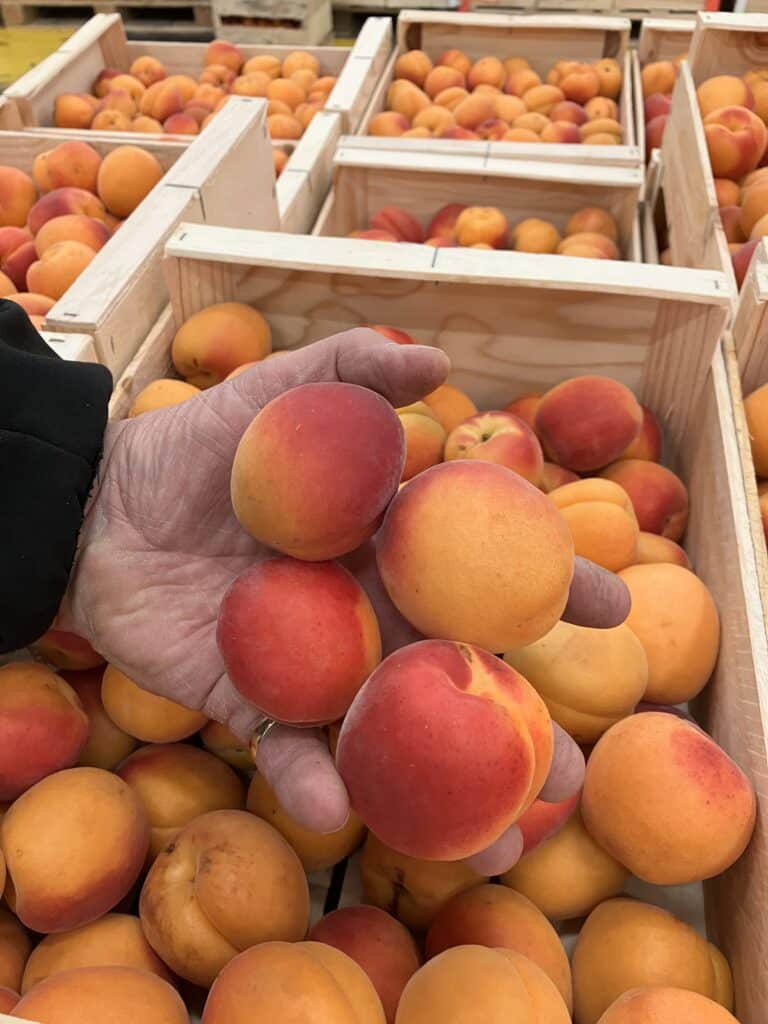 Aujourd’hui dans « C’est de Saison », découvrez les différentes variétés d'abricots disponibles sur notre Carreau au Marché de Gros Lyon-Corbas !