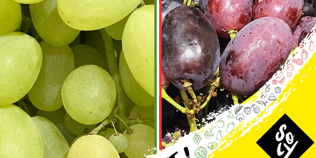 Raisins italiens 04072023 raisins soly