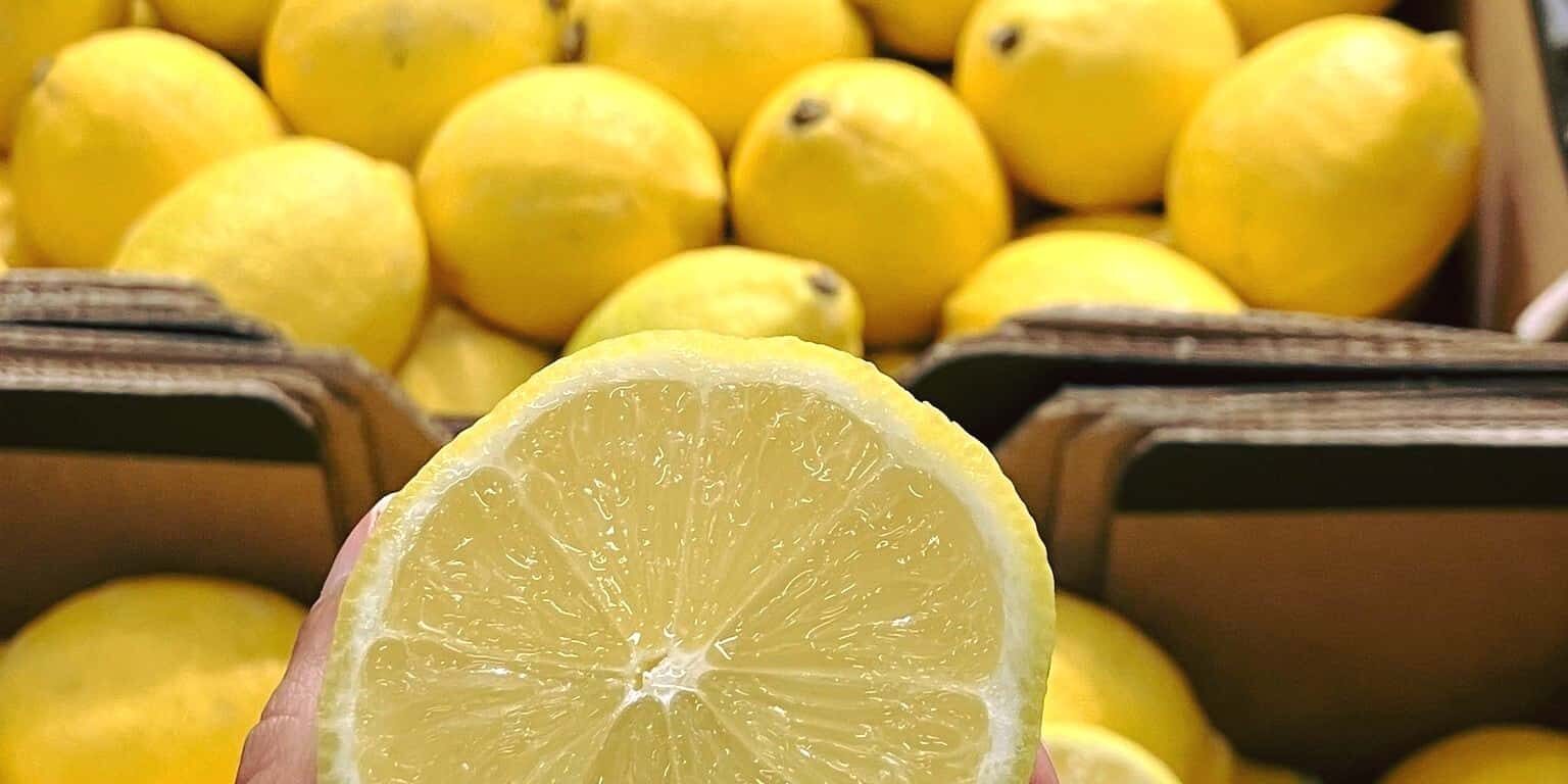 361981891_315383464151078_7244566944938298797_n soly import fruits