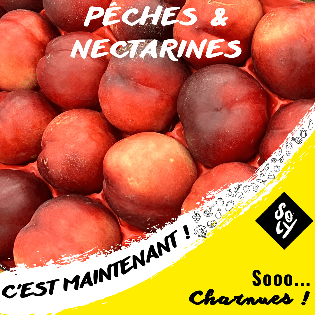 Pêches - nectarines 08082023