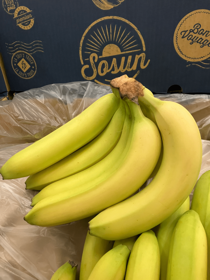 c'est de siason soly