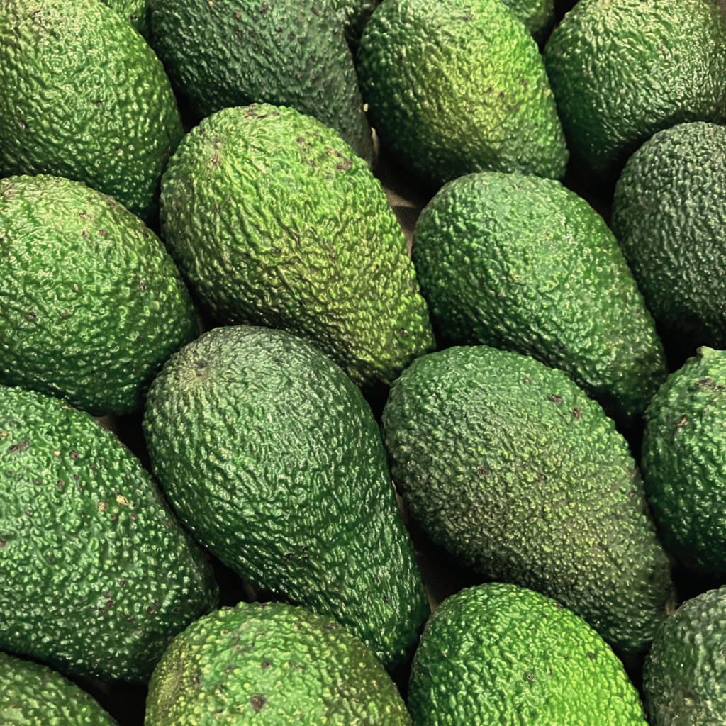 Campagne avocats Maroc 🥑