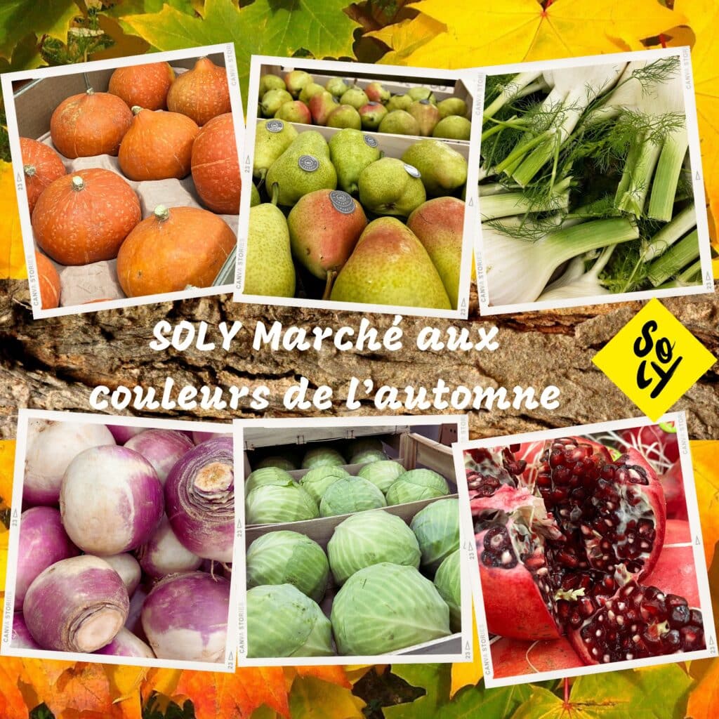Les fruits et légumes d'automne sont arrivés chez SOLY Marché !
