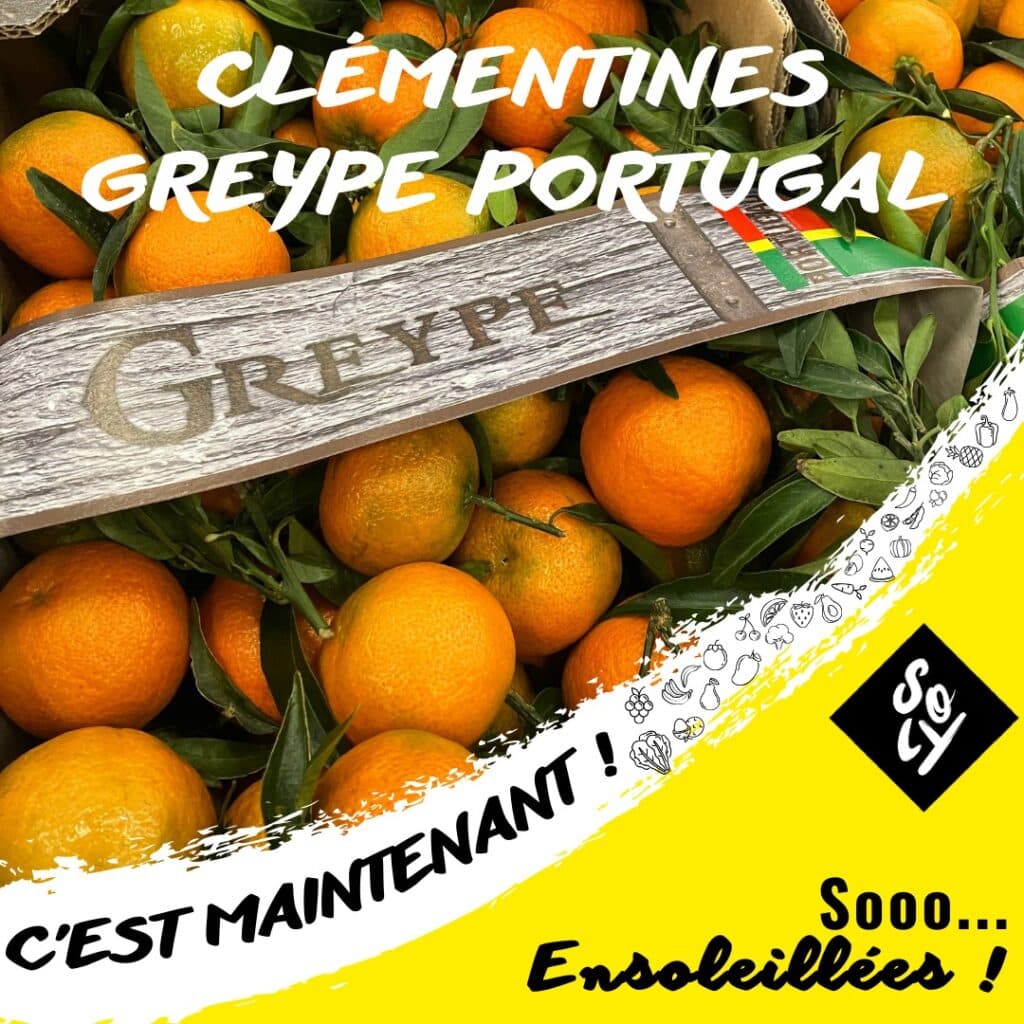 Les premières clémentines Greype feuilles, variété Ruby, sont arrivées chez SOLY Marché !