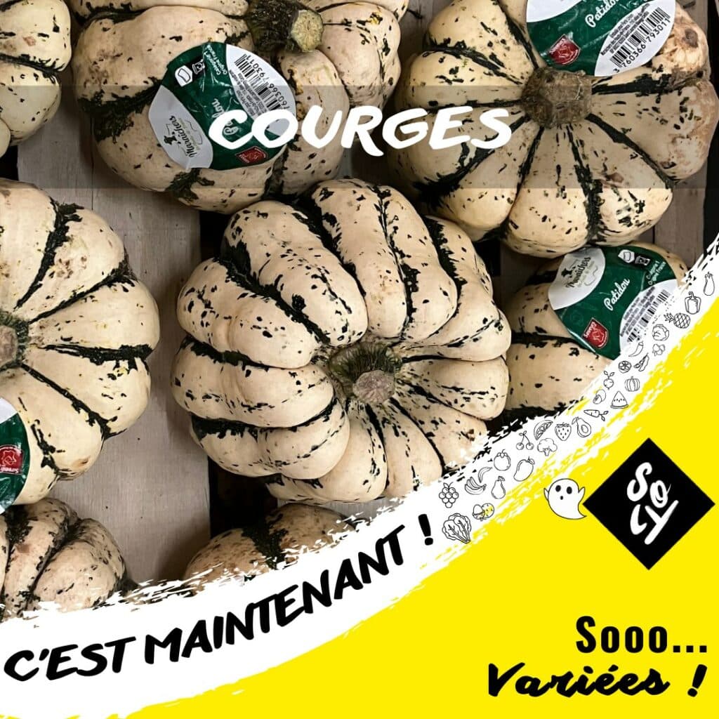 soly import courges de saison