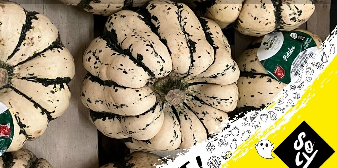 soly import courges de saison