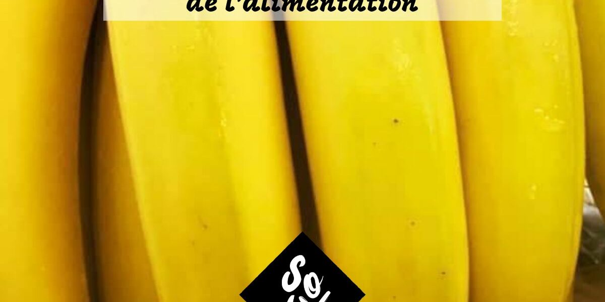 JM alimentation 1 JM alimentation 1