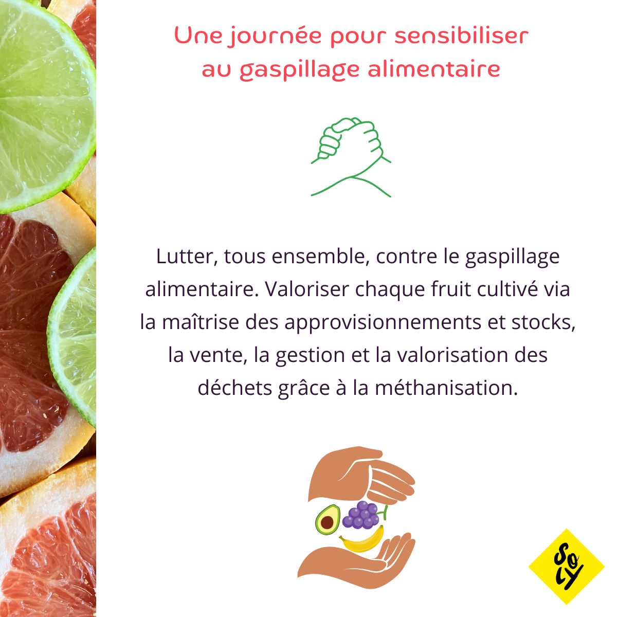 JM alimentation 1