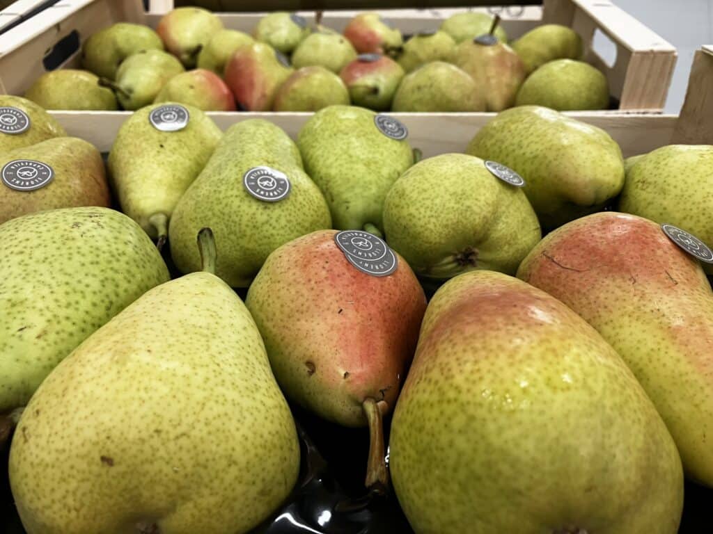 Fruit emblématique de l'automne, aujourd'hui nous mettons à l'honneur la poire Limonera