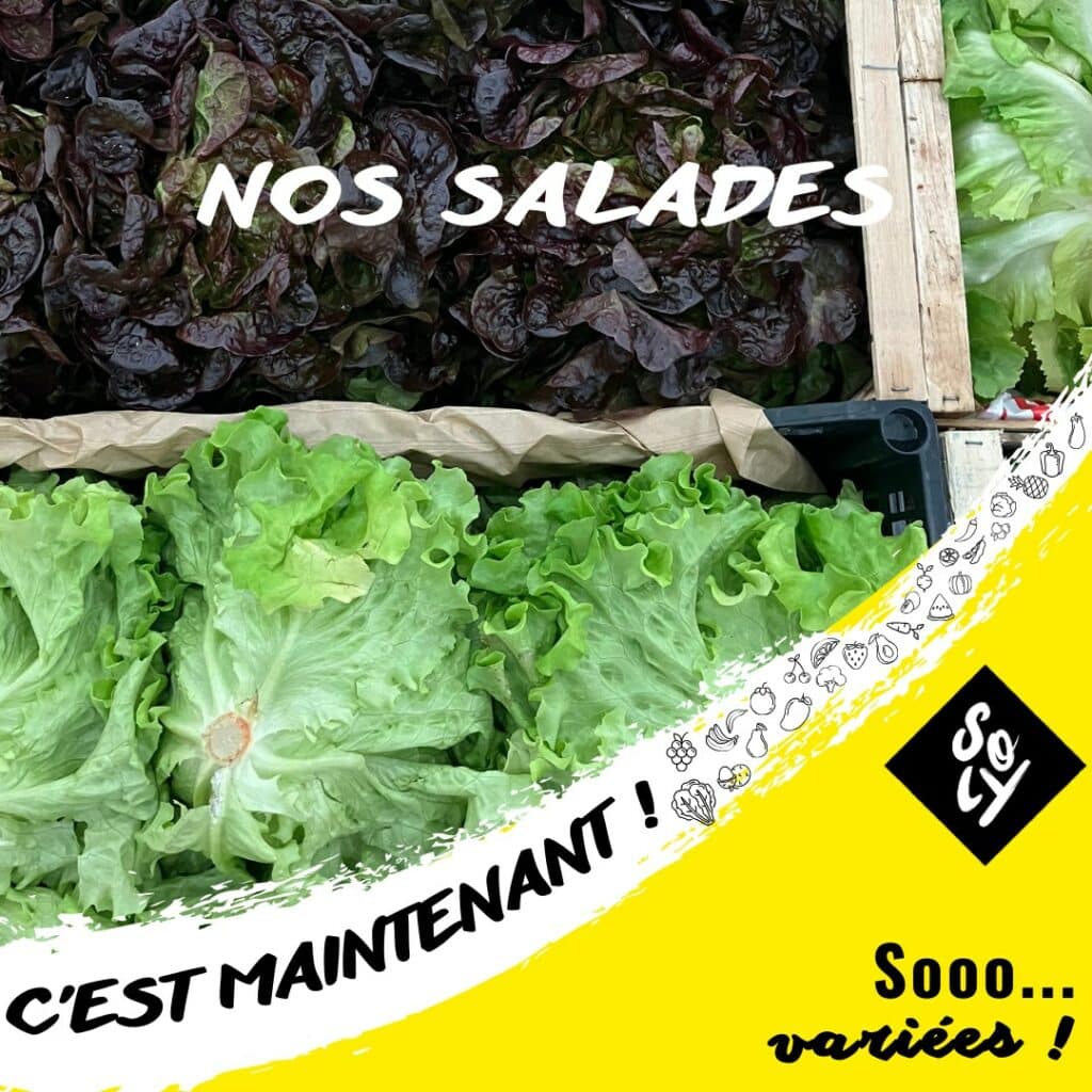 Comme nous le savons tous : 