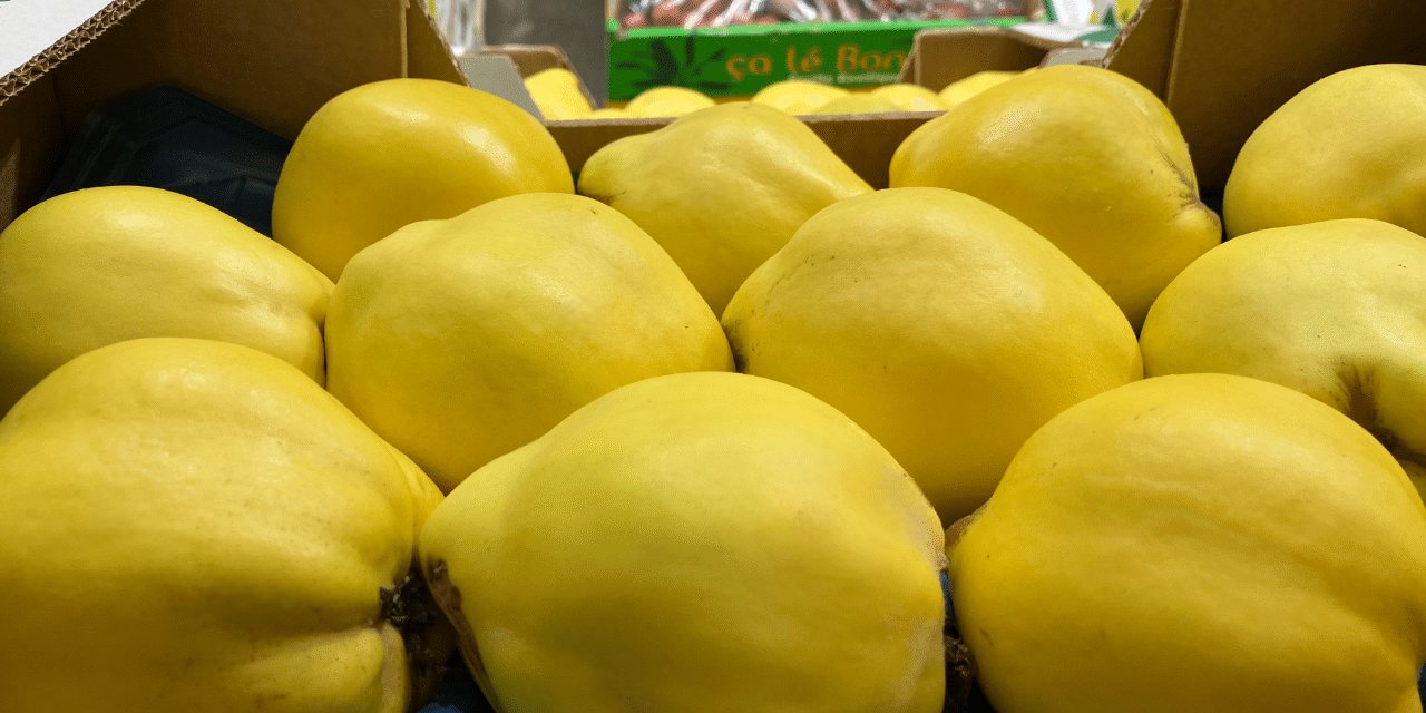 Coing ok-Photoroom c'est de siason soly