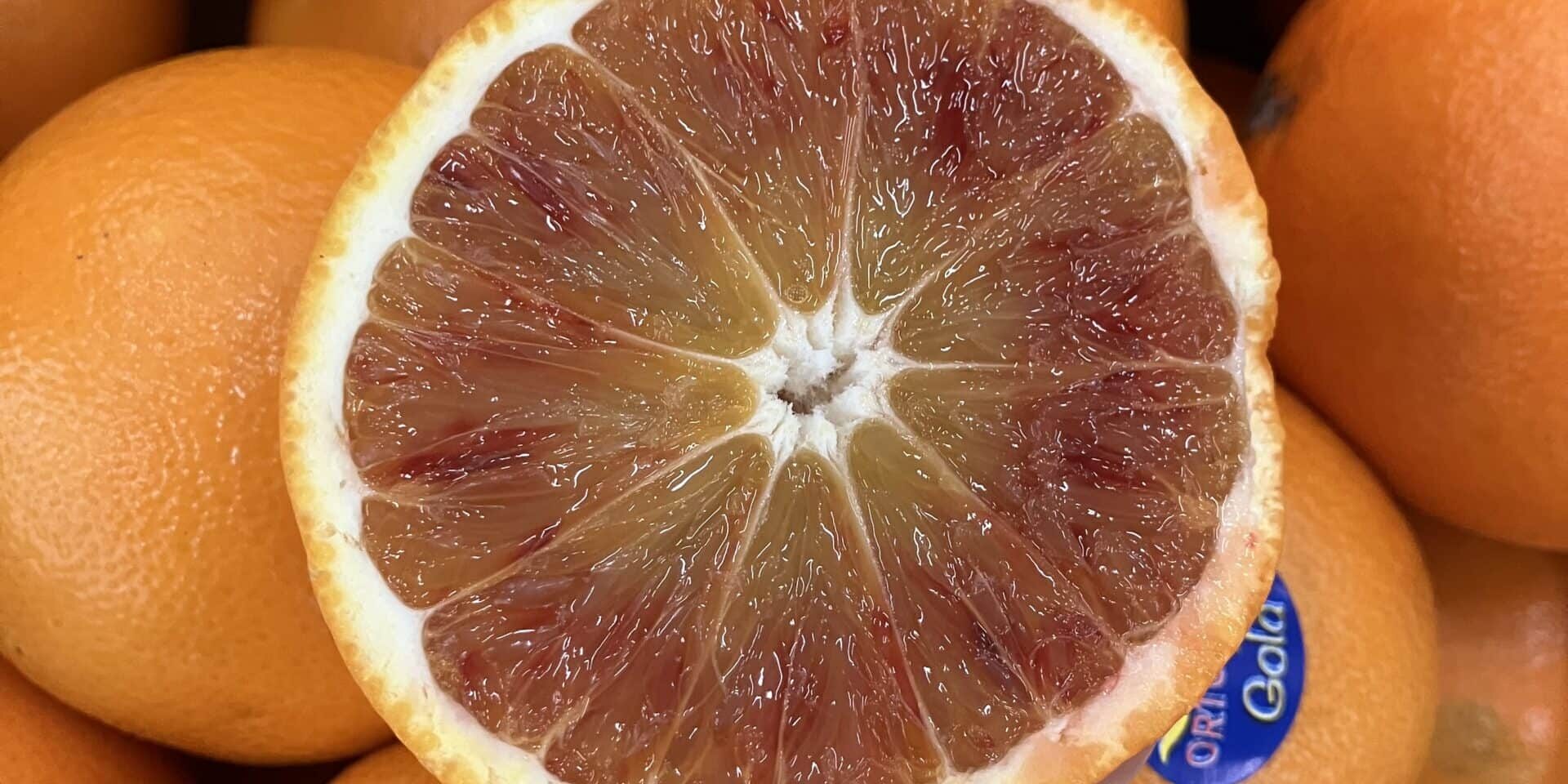 OK (1) c'est de siason soly