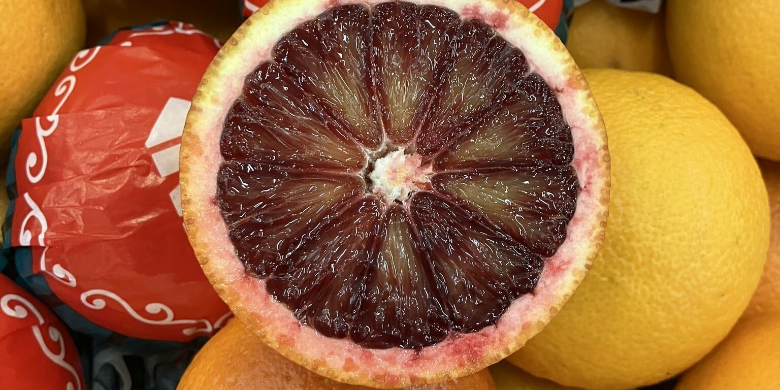 3 C’EST DE SAISON Soly