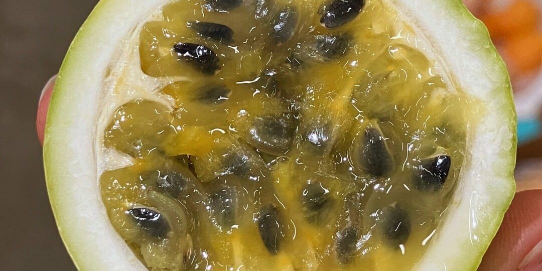 7 C’EST DE SAISON Soly