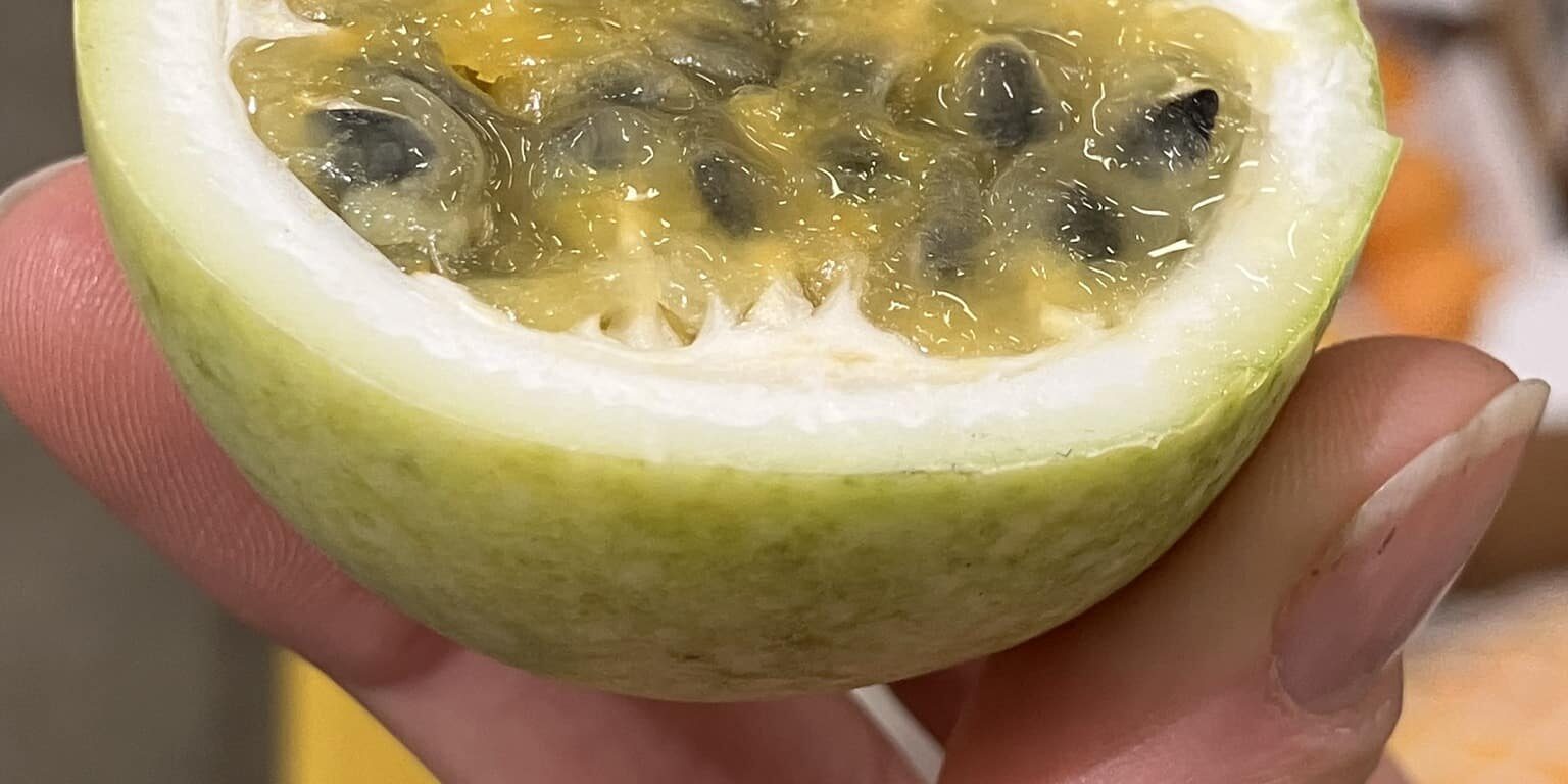 8 C’EST DE SAISON Soly