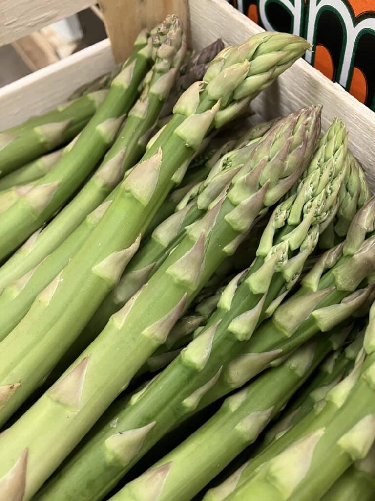 C’EST DE SAISON Soly