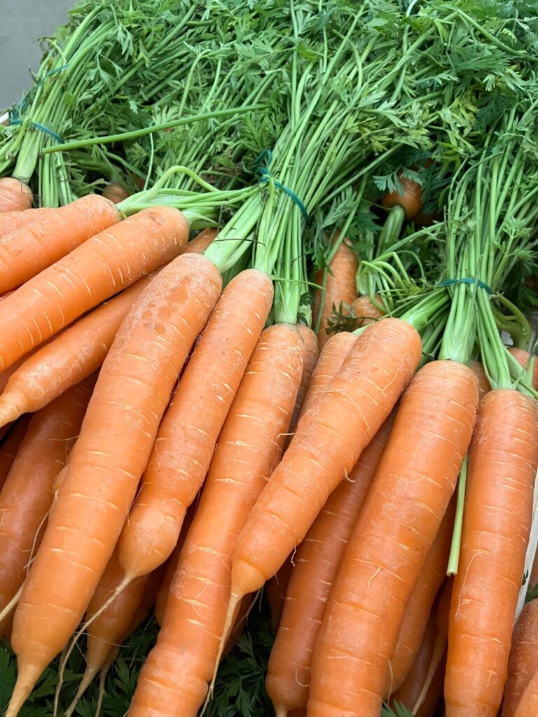 retrouvez dès à présent les bottes de carottes fanes chez SOLY Marché !