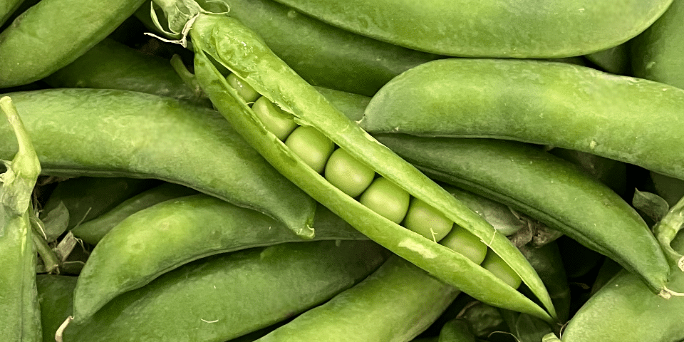 c'est de siason soly