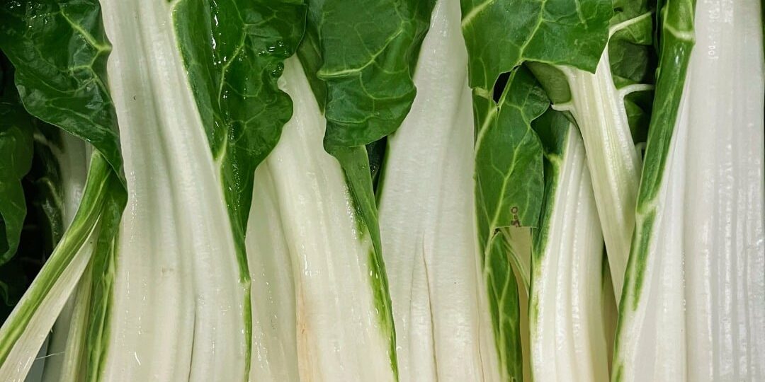 C’EST DE SAISON Soly