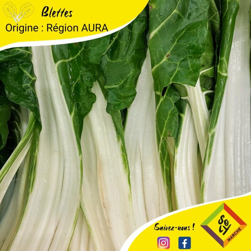 C’EST DE SAISON Soly