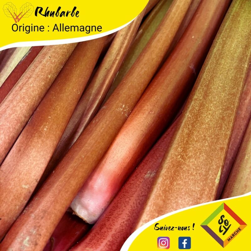 C’EST DE SAISON Soly