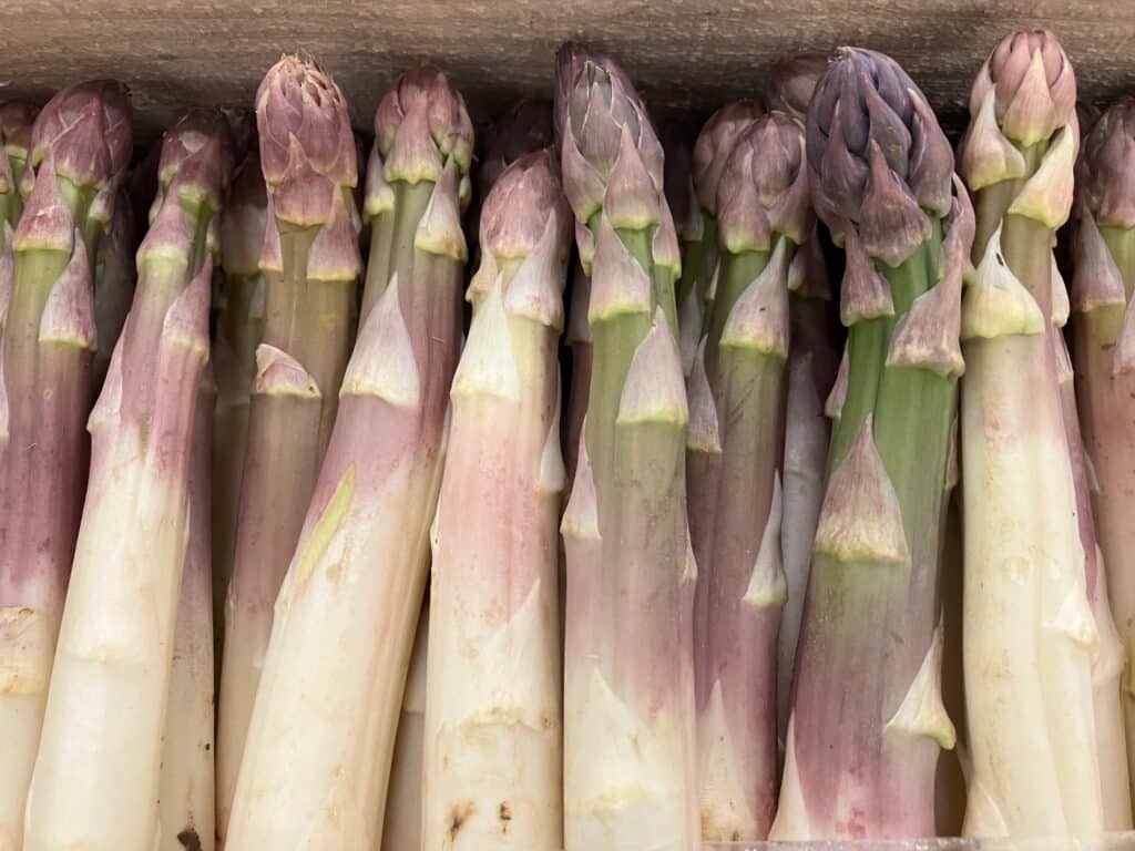 Les asperges : plusieurs calibres sont proposés pour les reines du printemps, toutes cultivées en France 🇫🇷 !