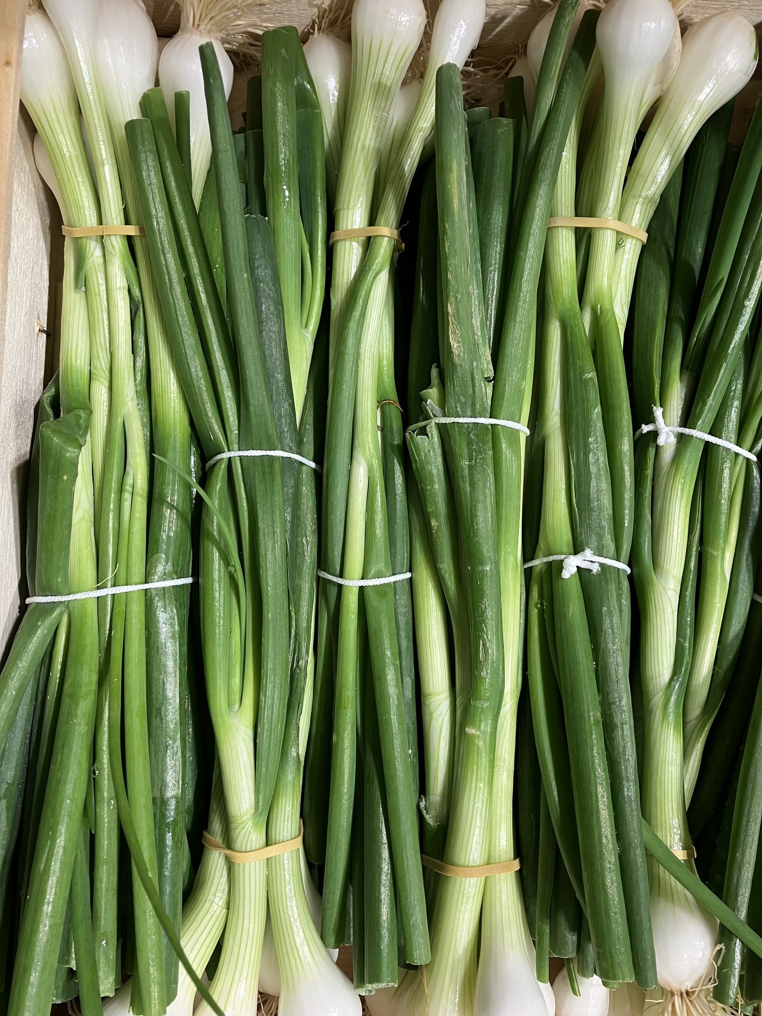 C’EST DE SAISON
