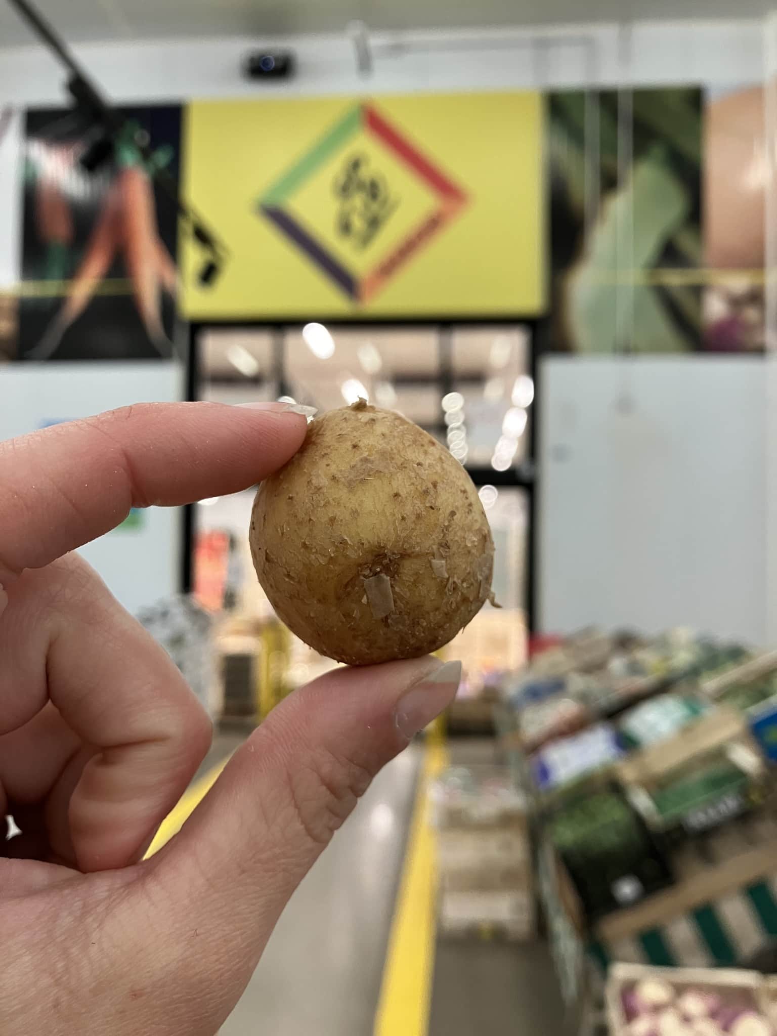 C’EST DE SAISON