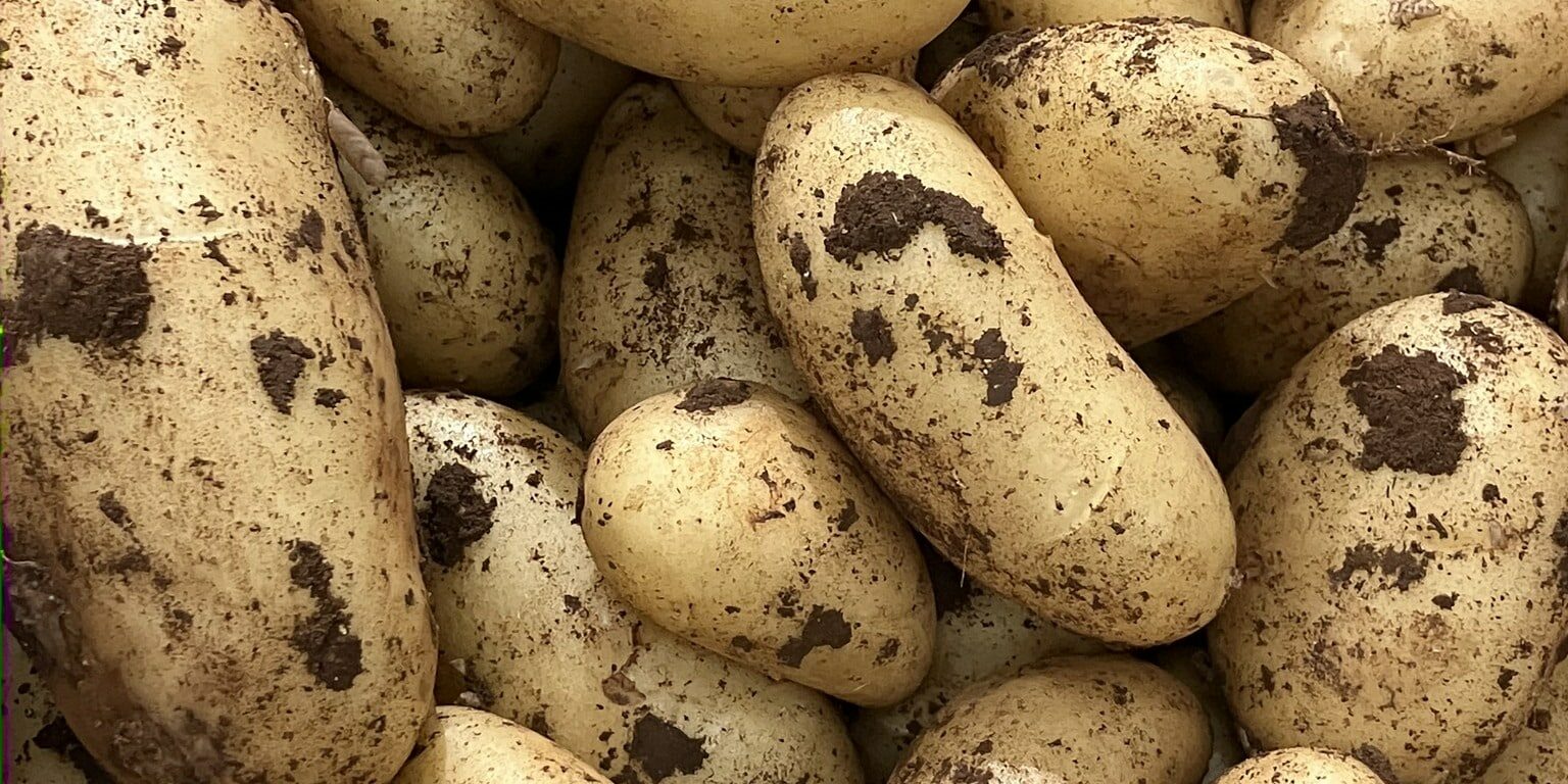 c'est de siason soly