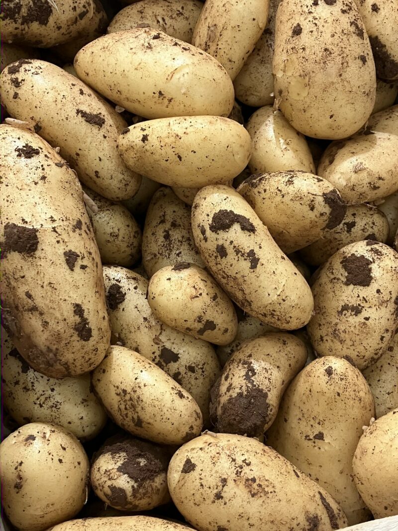 c'est de siason soly