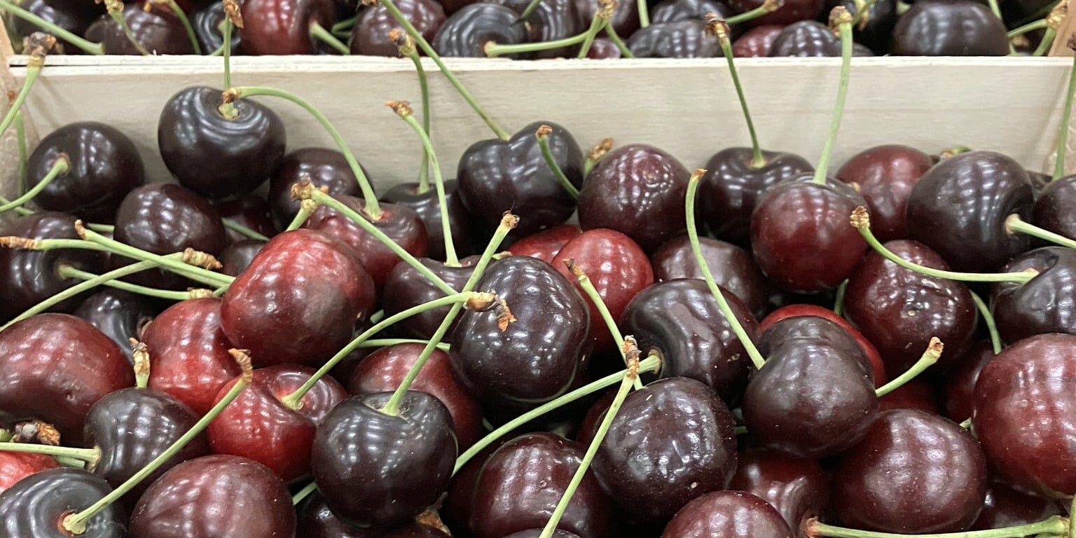 C2 c'est de siason soly