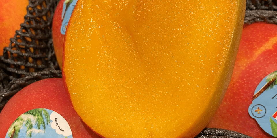 c'est de siason soly