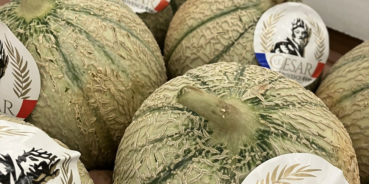 c'est de siason soly