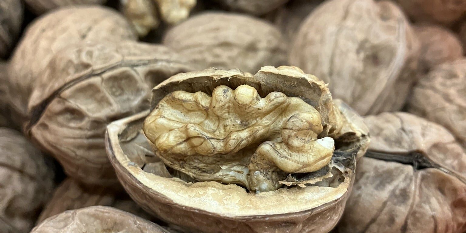 N2 c'est de siason soly