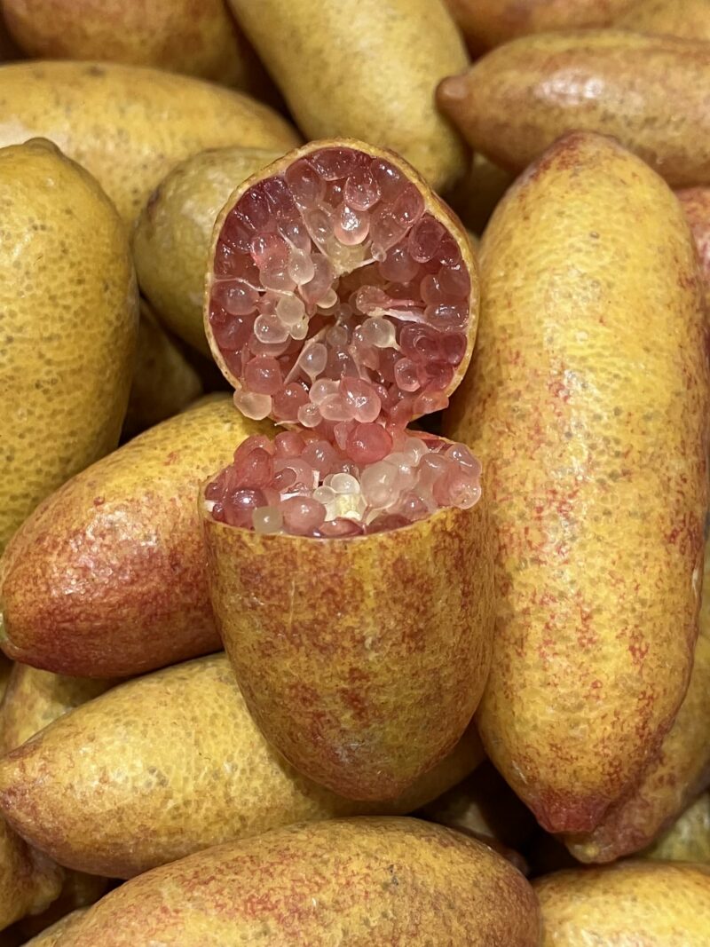 c'est de siason soly