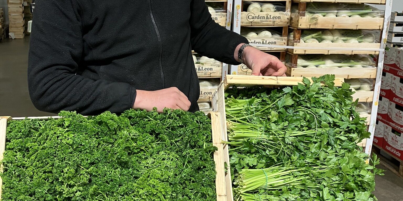 c'est de siason soly