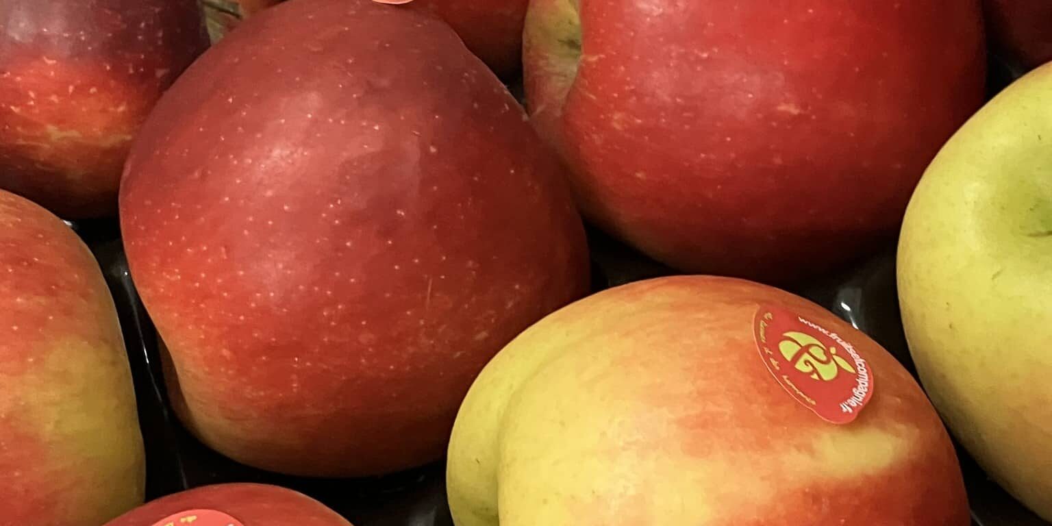 OK2 c'est de siason soly