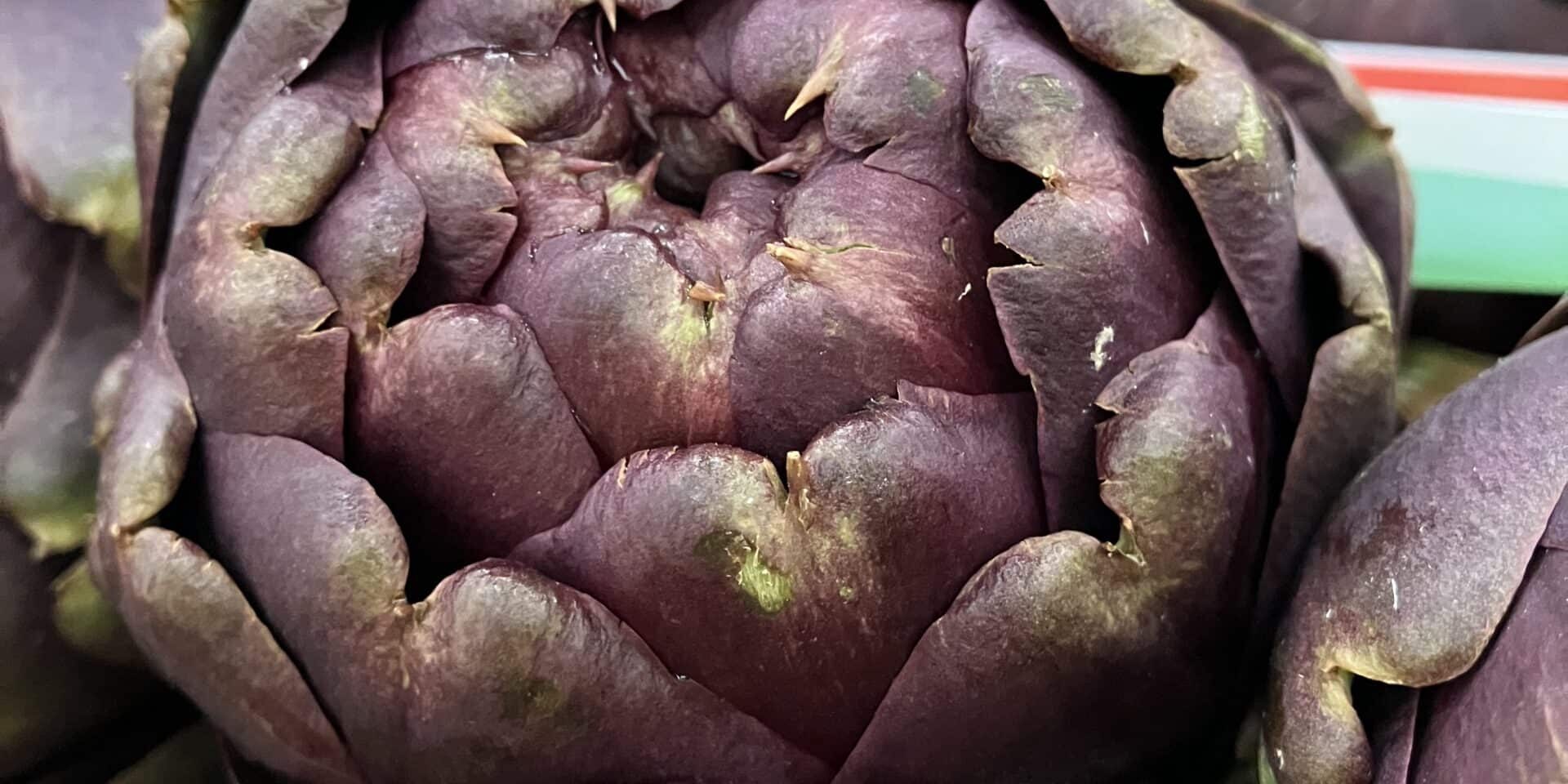 OK (3) c'est de siason soly