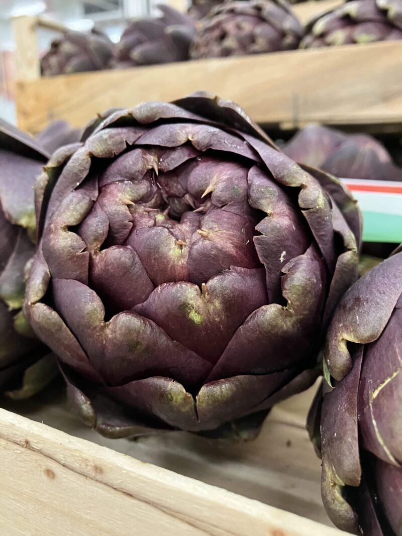 c'est de siason soly